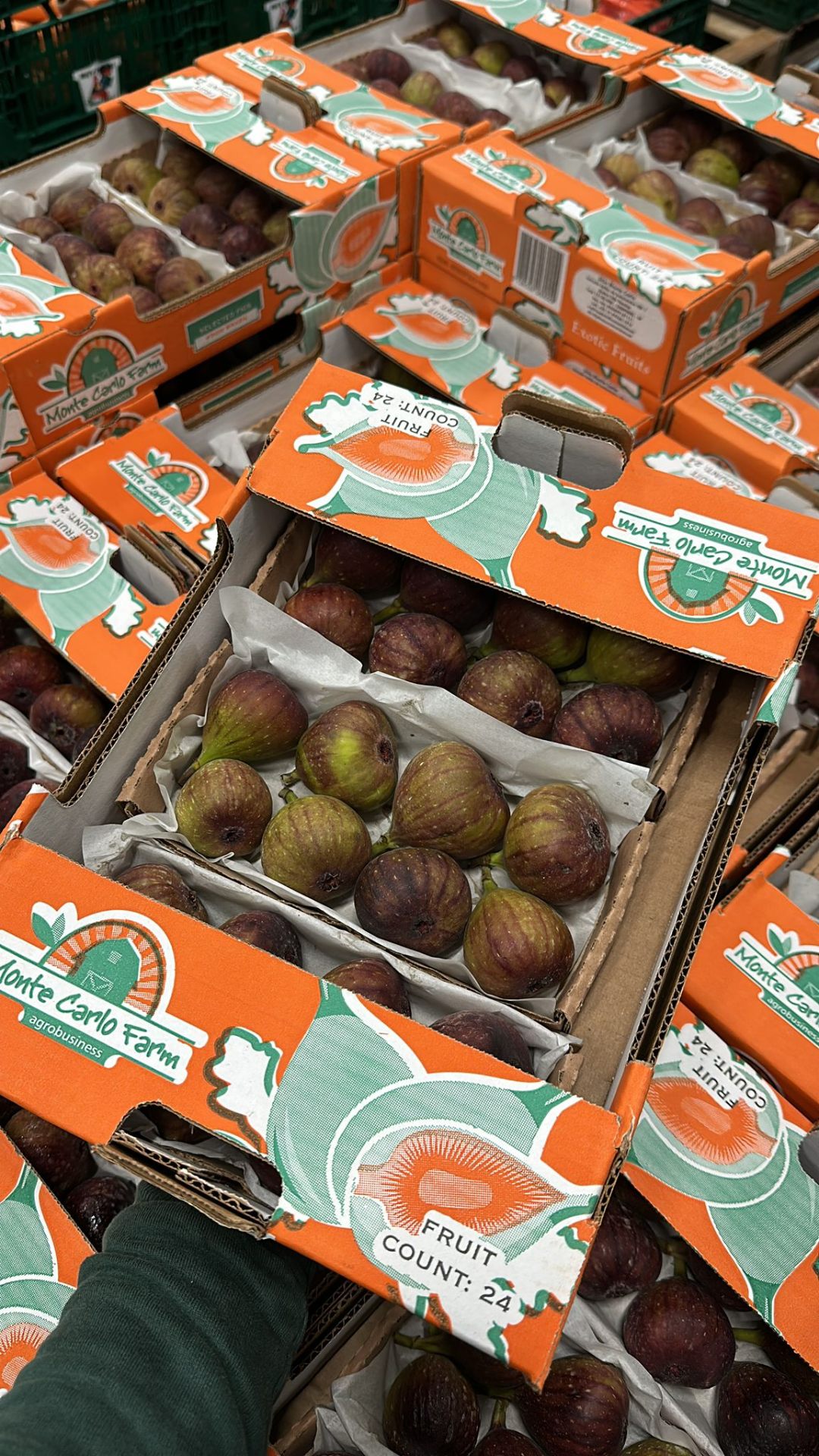 Fruit
