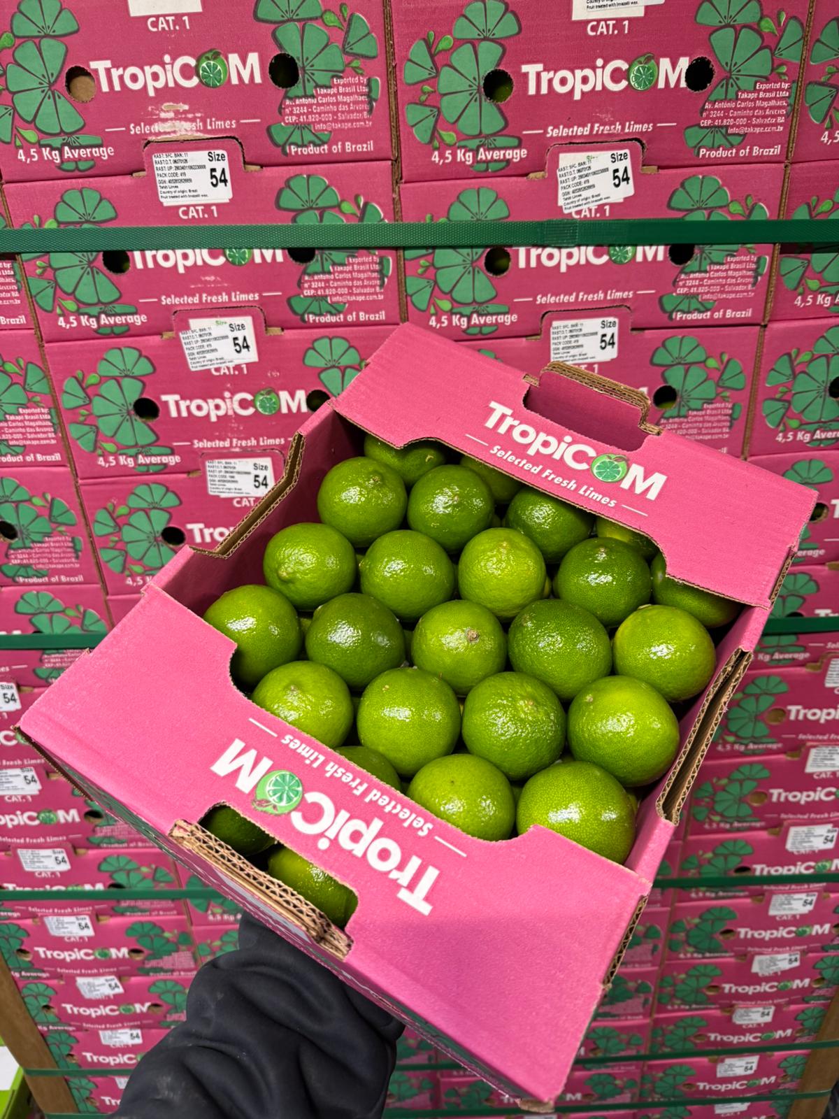 Limes — TropiCoM Brazil