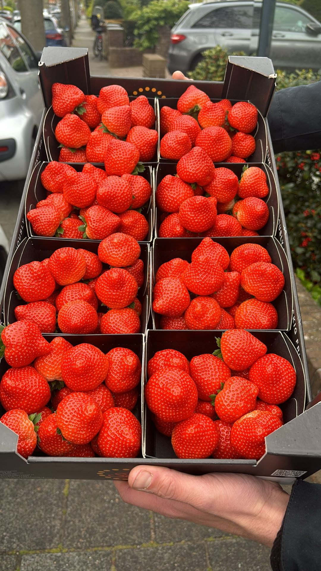 Aardbeien